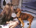 cheryl-cole-cute-dog-fashion-girl-kiss-47897.jpg